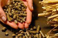 free Trumps Green biomass boiler quotes
